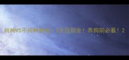 纯种VS不纯种泰迪5大区别全养狗前必看