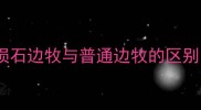 陨石边牧与普通边牧的区别