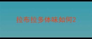 拉布拉多体味如何