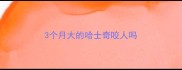 3个月大的哈士奇咬人吗