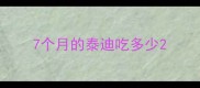 7个月的泰迪吃多少