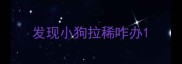 发现小狗拉稀咋办