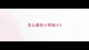 怎么避免小狗细小