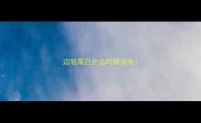 边牧尾巴什么时候长毛