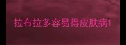 拉布拉多容易得皮肤病