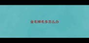 金毛掉毛多怎么办