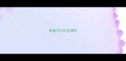 泰迪可以吹空调吗