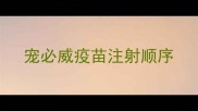 宠必威疫苗注射顺序