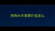 狗狗40天需要打疫苗么