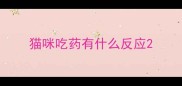 猫咪吃药有什么反应