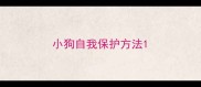 小狗自我保护方法
