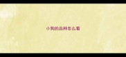 小狗的品种怎么看