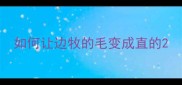 如何让边牧的毛变成直的