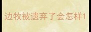 边牧被遗弃了会怎样