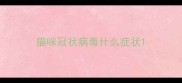 猫咪冠状病毒什么症状