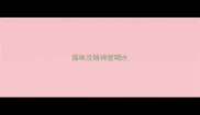 猫咪没精神爱喝水