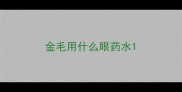 金毛用什么眼药水