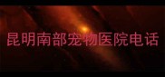 昆明南部宠物医院电话