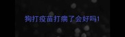 狗打疫苗打瘸了会好吗