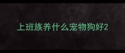 上班族养什么宠物狗好