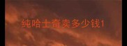 纯哈士奇卖多少钱