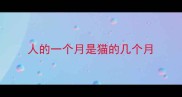 人的一个月是猫的几个月