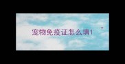 宠物免疫证怎么填