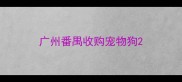 广州番禺收购宠物狗