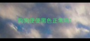 狗狗便便黑色正常吗