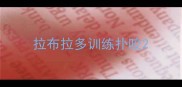 拉布拉多训练扑咬
