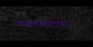 泰迪的腿突然软了