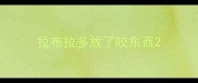 拉布拉多放了咬东西