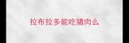 拉布拉多能吃猪肉么