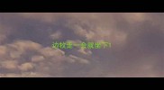 边牧走一会就坐下