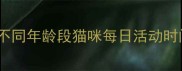 科学养宠指南不同年龄段猫咪每日活动时间表与运动建议