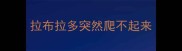 拉布拉多突然爬不起来