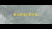 宠物基础知识教育