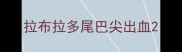 拉布拉多尾巴尖出血