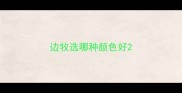 边牧选哪种颜色好