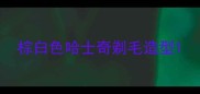 棕白色哈士奇剃毛造型