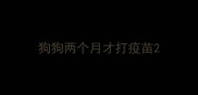 狗狗两个月才打疫苗
