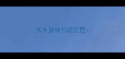 火车猫咪托运流程