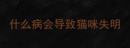 什么病会导致猫咪失明
