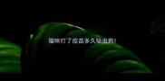 猫咪打了疫苗多久驱虫药