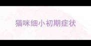 猫咪细小初期症状