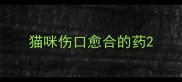 猫咪伤口愈合的药