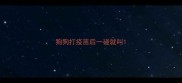 狗狗打疫苗后一碰就叫