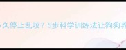 德牧幼犬多久停止乱咬5步科学训练法让狗狗养成好习惯