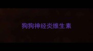 狗狗神经炎维生素