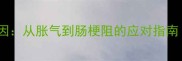 狗狗肠胃异响原因从胀气到肠梗阻的应对指南附自救方案